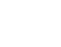 The Tall Trees at The Four Ferns